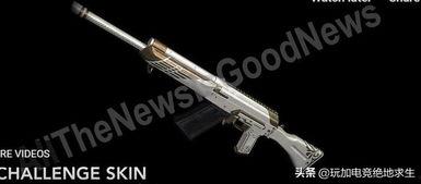 pubg新枪械皮肤最新爆料,PUBG新枪械皮肤最新爆料，炫酷外观引玩家热议！
